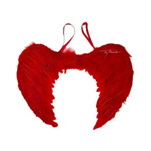 ALAS DE ANGEL 60X45CM- ROJA