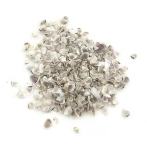 ALMEJAS PEQUENAS X 150 GRS
