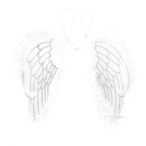 Alas de Ángel