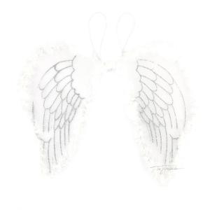 Alas de Ángel