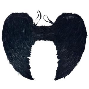 Alas de Ángel