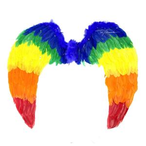Alas de Ángel Diversidad