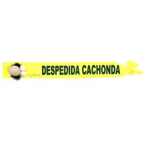 BANDA DESPEDIDA CACHONDA