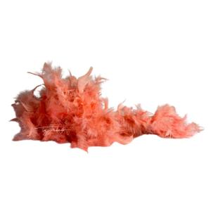 Boa de Plumas
