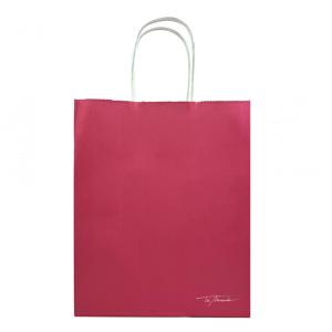 BOLSA C/ASA 22X11X27CM FUCSIA