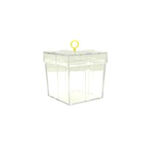 CAJA DE REGALO PESA PARA GLOBOS TRANSPARENTE