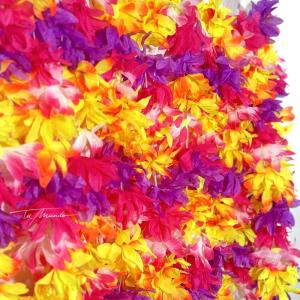 COLLAR HAWAIANO MCOLOR 110CM