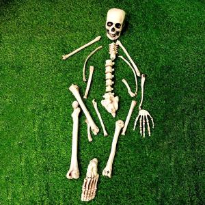 Calavera