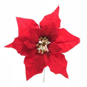 ESTRELLA FEDERAL 24 CM