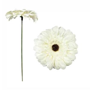 Flor de Gerbera