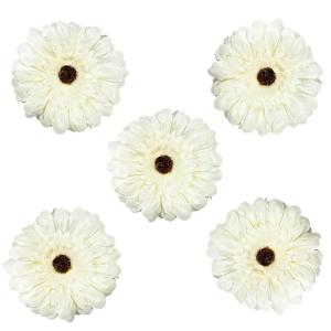 Flor de Gerbera