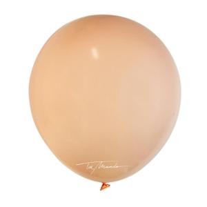 GLOBO   PASTEL X  5 UN SALMON