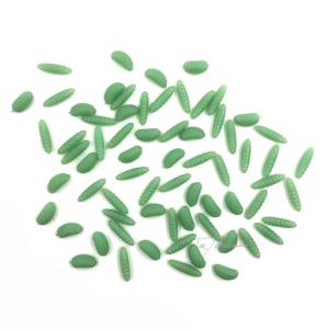 Gusanos