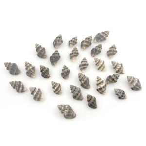 Mini Caracoles