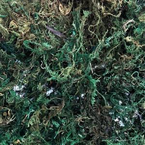 PASTO ARTIFICIAL 40 GRS