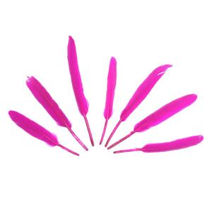 PLUMAS 12-14 CM-FUCSIA X50UN