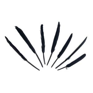 PLUMAS 12-14 CM-NEGRO X50UN