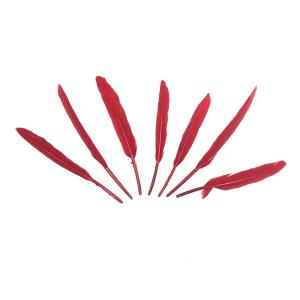 PLUMAS 12-14 CM-ROJO X50UN