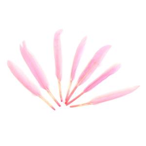 PLUMAS 12-14 CM-ROSADO X50UN