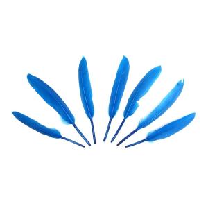 PLUMAS 12-14 CM-TURQUESA X50UN