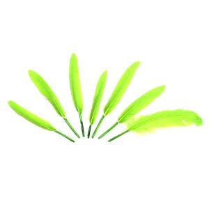 PLUMAS 12-14 CM-VE MANZANA X50UN