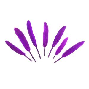 PLUMAS 12-14 CM-VIOLETA X50UN