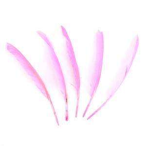 PLUMAS 25-30 CM ROSADO X 25 UN