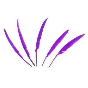 PLUMAS 25-30 CM VIOLETA X 25 UN