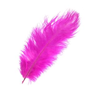 PLUMAS 25-30 CM X 10-FUCSIA