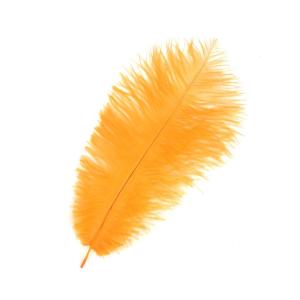 Plumas