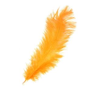 Plumas