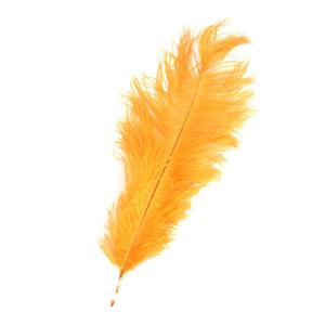 Plumas