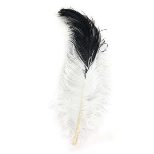 Plumas