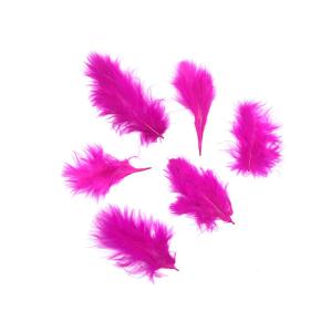 Plumas