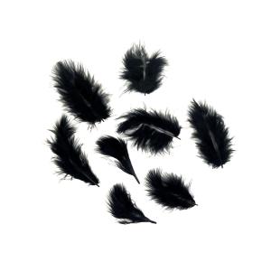 Plumas