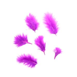 Plumas